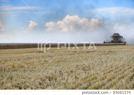 Combine harvesters with grain header, wide chaff spreader reaping cereal ears. 93081574