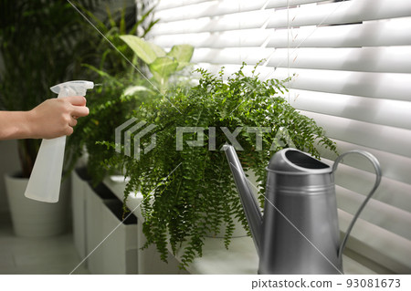 Woman spraying plants near window at home, closeup 93081673