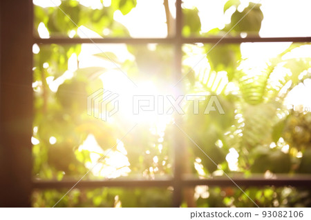 Blurred view through window on garden in morning Blurred view through window on garden in morning 93082106