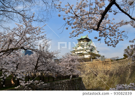 日本大阪府春天大阪城櫻花盛開、藍天和宏偉的城堡塔 93082839