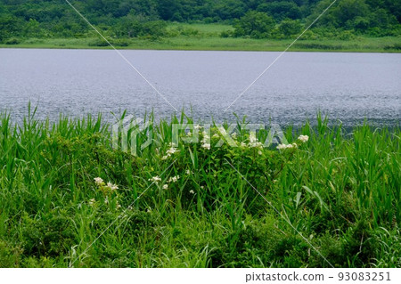 小國沼池 小國沼池 93083251