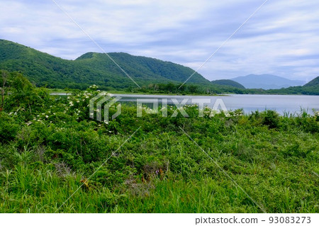 小國沼池 小國沼池 93083273