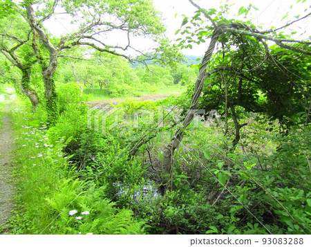 檜原湖風景 2 檜原湖風景 2 93083288
