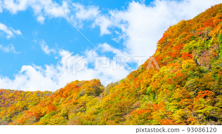 Mountains of autumn leaves 93086120