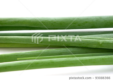 Kujo洋蔥 Kujo洋蔥 93086366