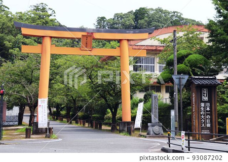 Torii of Gamo Hachiman Shrine, Aira-gun 93087202