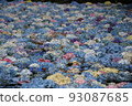 Michinoku Hydrangea Garden Hydrangea Pond #3 93087685