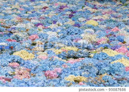 Michinoku Hydrangea Garden Hydrangea Pond #2 Michinoku Hydrangea Garden Hydrangea Pond #2 93087686