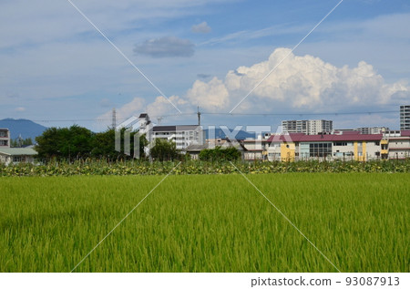 Summer in Otokuni no Sato 93087913