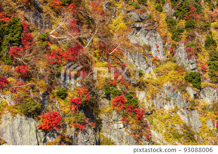 立山黑部阿爾卑斯山路線秋葉和大觀望的大全景 93088006