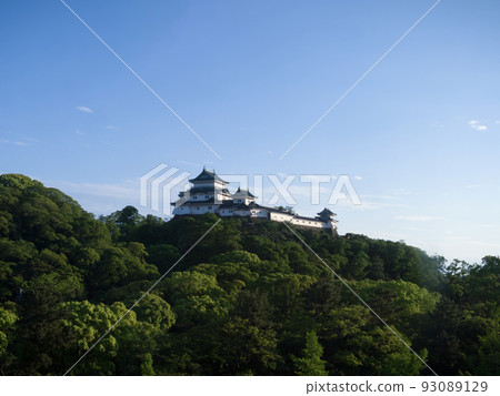 和歌山縣和歌山市和歌山城 93089129