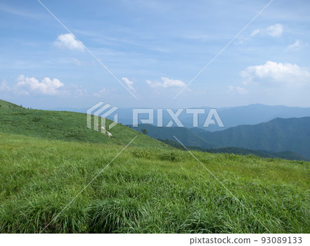 和歌山縣大石高原、君野町、有田川町 和歌山縣大石高原、君野町、有田川町 93089133