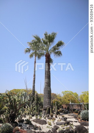 Rock garden Rock garden 93089416