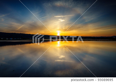 黃昏稻田裡的哈羅倒影 黃昏稻田裡的哈羅倒影 93089695