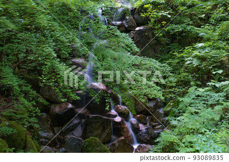 The flow of Takio Falls in Hino Town, Tottori Prefecture The flow of Takio Falls in Hino Town, Tottori Prefecture 93089835