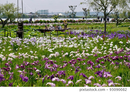 Shimogo Saahara Ayame Park 93090082