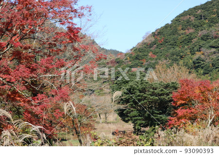 Unzen-Amakusa National Park in autumn Unzen-Amakusa National Park in autumn 93090393