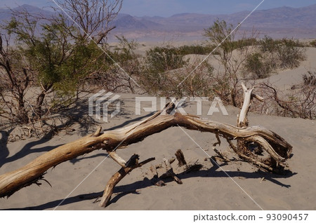 美國死亡谷國家公園的沙丘 93090457