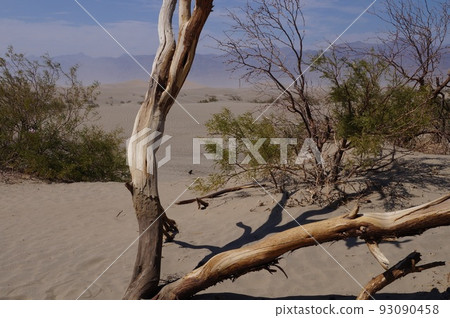 美國死亡谷國家公園景觀 93090458