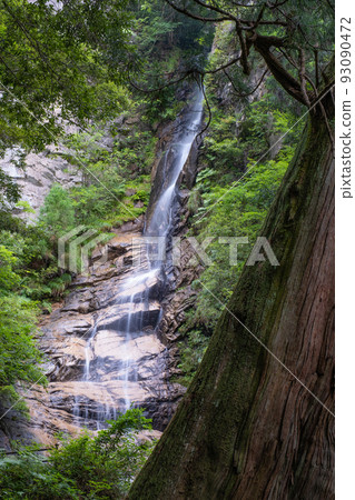 鳥取縣日野町的龍王瀑布 鳥取縣日野町的龍王瀑布 93090472