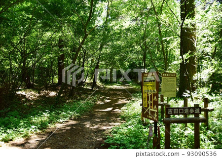 Fujiyoshida City Yoshidaguchi promenade entrance and information board 93090536