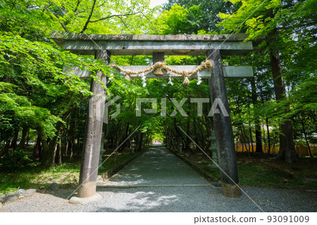 Torii and fresh greenery at Oharano Shrine, Kyoto 93091009