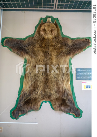 Brown bear fur Noboribetsu bear farm (Noboribetsu, Hokkaido) 93092191