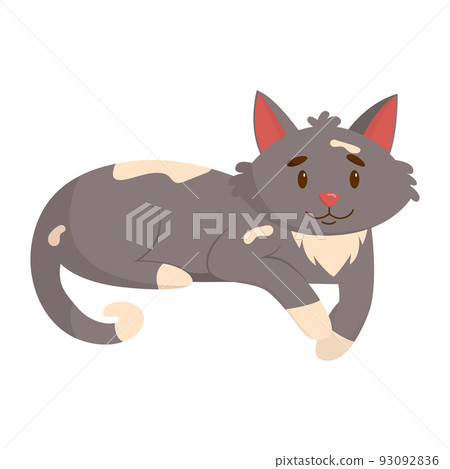 Cute cat. Domestic, funny cat isolated on white background. Flat vector illustration Cute cat. Domestic, funny cat isolated on white background. Flat vector illustration 93092836