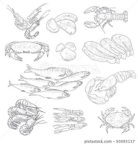 Seafood and fish in vintage style Seafood and fish in vintage style 93093137