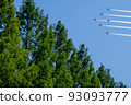 Blue Impulse Flight over the Metasequoia trees 93093777