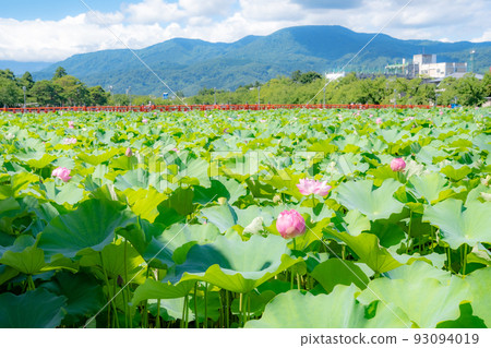 西堀橋和南葉山 93094019