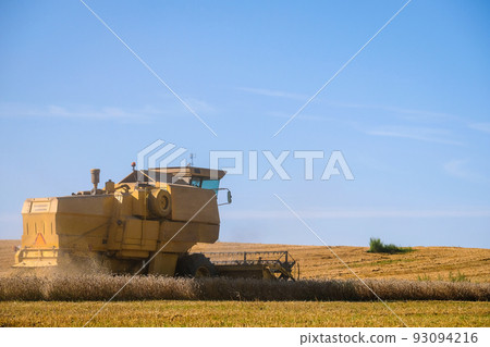 Combine harvester harvests ripe wheat. Agriculture. Selective focus 93094216