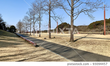 鬱金香樹和風車長廊[岡崎中央公園/愛知縣岡崎市] 93094457