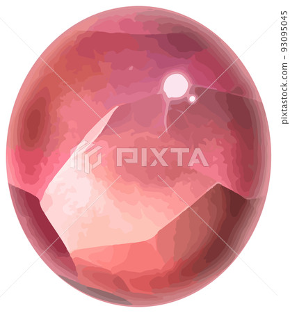 八月生日石/寶石尖晶石鬆散矢量素材 93095045
