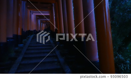 Fushimi Inari Shrine  93096503