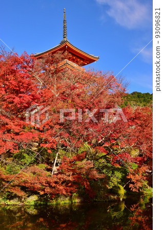 秋葉在京都清水寺的秋天 93096821