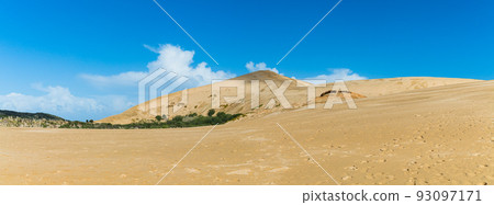 新西蘭雷因加角附近的蒂帕基沙丘 93097171