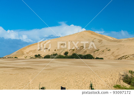 新西蘭雷因加角附近的蒂帕基沙丘 93097172