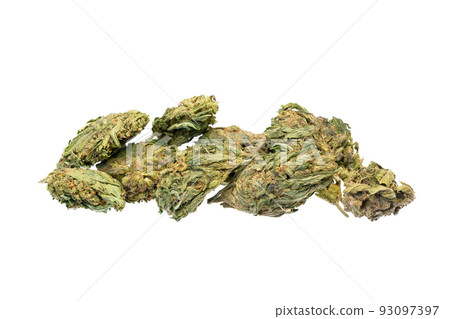 Cannabis buds, medical Marijuana on white background. Canabis sativa. 93097397