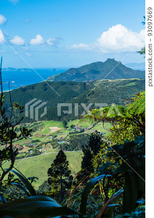 從新西蘭旺格雷角的馬納亞山看到的鯛魚風景保護區 93097669