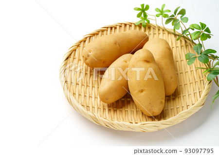 potato may queen potato may queen 93097795