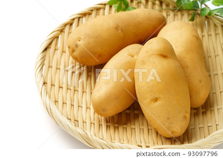 potato may queen potato may queen 93097796