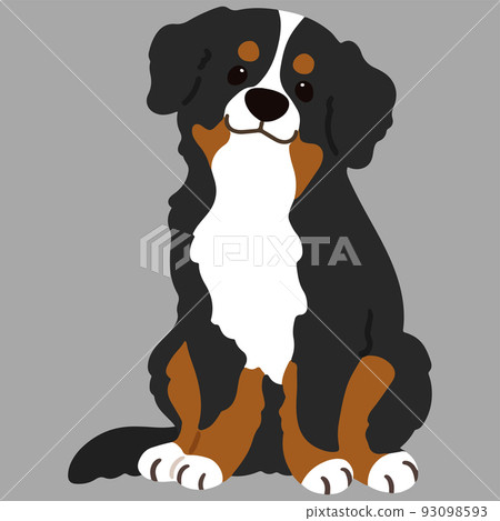 簡單可愛的伯爾尼山犬正面坐姿圖 無主線 93098593