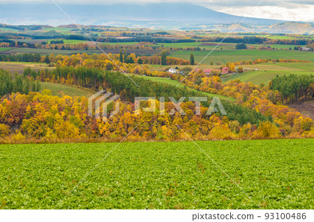 Beautiful scenery of Hokkaido in autumn Beautiful scenery of Hokkaido in autumn 93100486