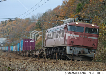 北陸本線椿本栗良JR貨運EF81-29(富山) 北陸本線椿本栗良JR貨運EF81-29(富山) 93101016