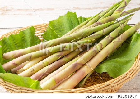 Nemagaritake Bamboo 93101917