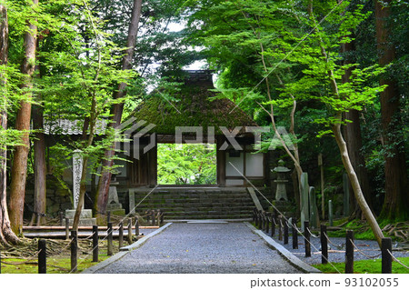 Honen-in temple approach and temple gate are beautiful in summer morning in Kyoto city Honen-in temple approach and temple gate are beautiful in summer morning in Kyoto city 93102055