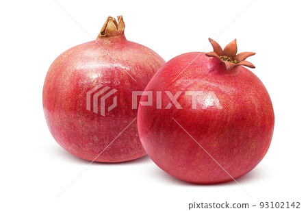 Pomegranate pomegranate illustration real set 93102142