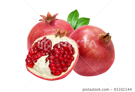 石榴石榴插畫實景 93102144