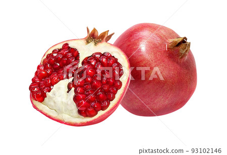 Pomegranate pomegranate illustration real set 93102146